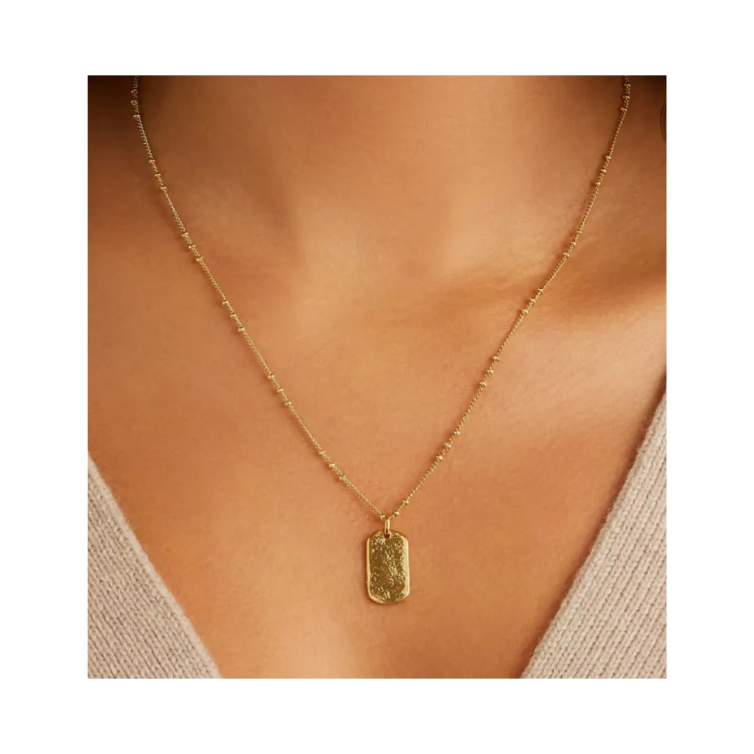 Gorjana Griffin Dog Tag Necklace