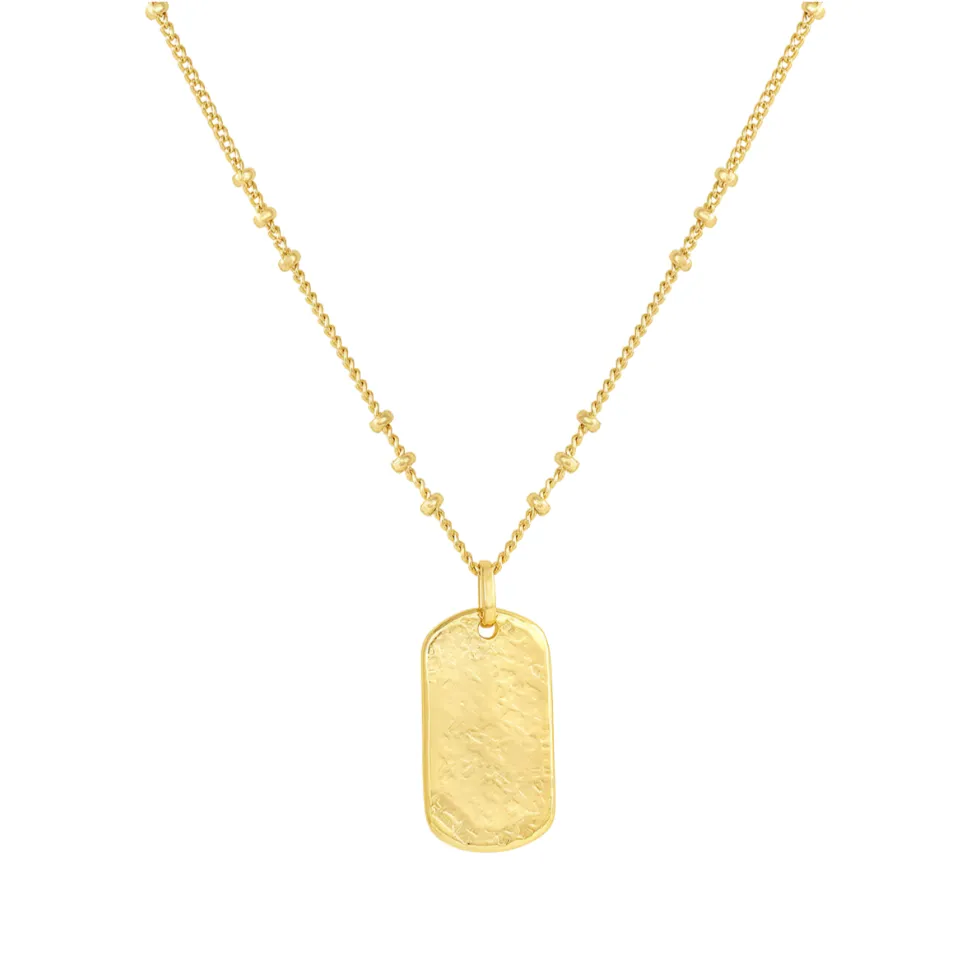 Gorjana Griffin Dog Tag Necklace
