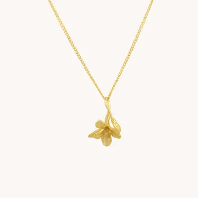 Gratinsta Necklaces